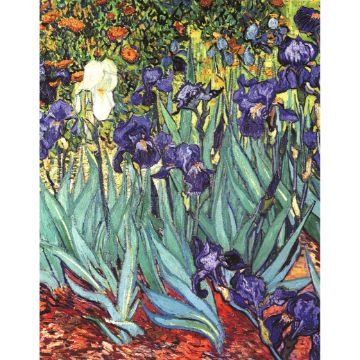 Plaid effetto cashmere