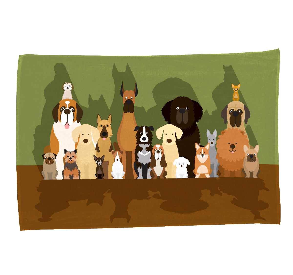 Plaid Pile - Foto di gruppo